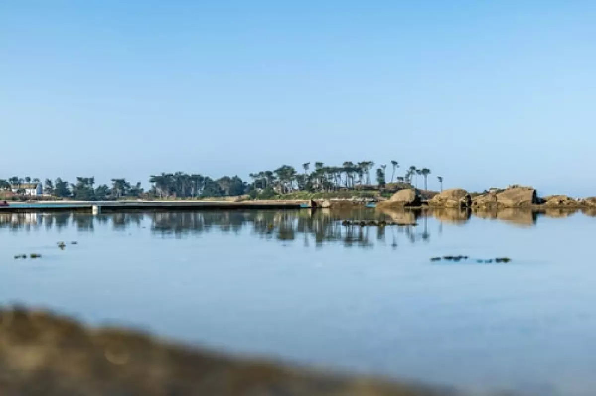 Maison Altitude Marine en location à Sibiril